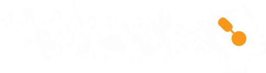 Ilustração do estilo Regional