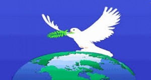 Logo da webstudiovida