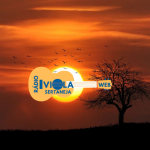Logo da Rádio Viola Sertaneja Web