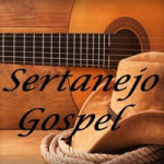 Logo da WEB Viola Sertaneja Gospel FM
