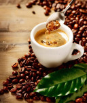 Logomarca da WEB CAFÉ COM LEITE FM