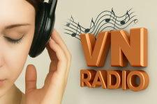 Logo da VN RADIO