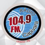 Logo da Capivara
